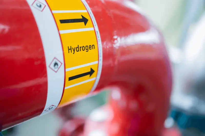 Pipe in which hydrogen is transported